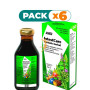 Pack 6x INTESTCARE JARABE 250Ml. SALUS
