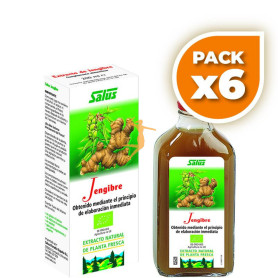 Pack 6x JENGIBRE JUGO DE PLANTA FRESCA 200Ml. SALUS