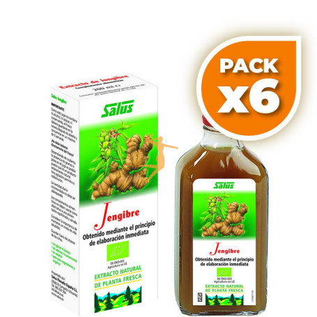 Pack 6x JENGIBRE JUGO DE PLANTA FRESCA 200Ml. SALUS