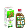 Pack 6x JENGIBRE JUGO DE PLANTA FRESCA 200Ml. SALUS