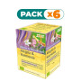 Pack 6x ALEGRÍA & ARMONÍA 15 FILTROS SALUS