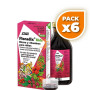 Pack 6x FLORADIX KIDS 250 ML SALUS