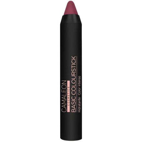 PINTALABIOS BASIC COLOURSTICK NUDE MARRÓN CAMALEON