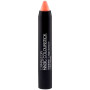 PINTALABIOS BASIC COLOURSTICK MELOCOTÓN CAMALEON