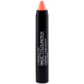 PINTALABIOS BASIC COLOURSTICK MELOCOTÓN CAMALEON
