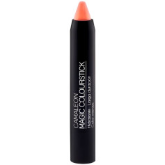 PINTALABIOS BASIC COLOURSTICK MELOCOTÓN CAMALEON