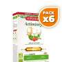 Pack 6x ACTIMINCYL BIO FORMULA + CONCENTRADA 20 AMPOLLAS SUPERDIET