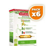 Pack 6x MI PROTOCOLO DE ADELGAZAMIENTO BIO 30 AMPOLLAS SUPERDIET