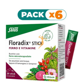 Pack 6x FLORADIX 20 STICKS SALUS