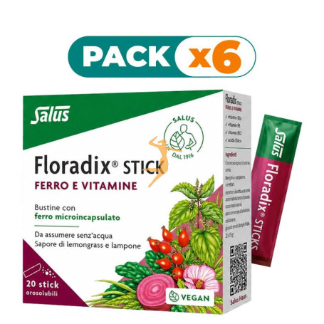 Pack 6x FLORADIX 20 STICKS SALUS