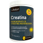 CREATINA MONOHIDRATO SABOR NARANJA 256G VITALART