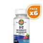 Pack 6x B12 METHYLCOBALAMIN & ADENOSYLCOBALAMIN 60 MICROCOMPRIMIDOS KAL