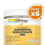 Pack 6x BISGLICINATO DE MAGNESIO EN POLVO 179G SOLARAY