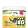 Pack 6x VEGAN COLLAGEN BOOSTER EN POLVO SABOR VAINILLA 173G SOLARAY