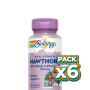 Pack 6x EXTRACTO DE ESPINO BLANCO 100MG 60 CÁPSULAS VEGETALES SOLARAY