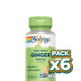 Pack 6x RAÍZ DE JENGIBRE 550MG 100 CÁPSULAS VEGETALES SOLARAY