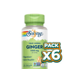 Pack 6x RAÍZ DE JENGIBRE 550MG 100 CÁPSULAS VEGETALES SOLARAY