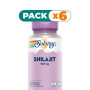 Pack 6x SHILAJIT 100MG 30 CÁPSULAS VEGETALES SOLARAY