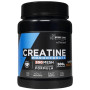 CREATINA 200MESH SABOR NEUTRO 500G DRASANVI SPORT LIVE