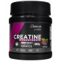 CREATINA 200MESH FRUTOS DEL BOSQUE 300G DRASANVI SPORT LIVE
