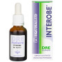 DRENATURE INTEROBE 30ML EQUISALUD