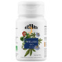 MELISA BIO 45 CÁPSULAS VEGETALES VIT.O.BEST