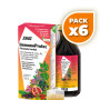 Pack 6x IMMUNOPROTECT 250Ml. SALUS