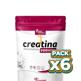 Pack 6x CREATINA 200 MESH 270G PINISAN