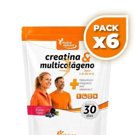 Pack 6x CREATINA Y MULTICOLÁGENO 270Gr PINISAN