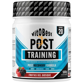 POST TRAINING SABOR FRUTAS DEL BOSQUE 500G VIT.O.BEST