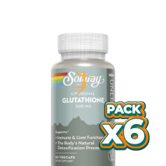 Pack 6x GLUTATION LIPOSOMAL 500MG 60 CÁPSULAS VEGETALES SOLARAY