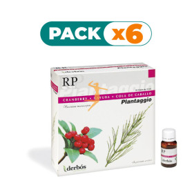 Pack 6x PLANTAGGIO RP DERBOS