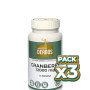 Pack 3x CRANBERRY 12000MG 60 CÁPSULAS VEGETALES DERBÓS