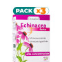 Pack 3x ECHINACEA 45 CÁPSULAS DRASANVI