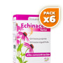 Pack 6x ECHINACEA 45 CÁPSULAS DRASANVI
