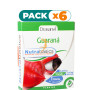 Pack 6x GUARANÁ 30 CÁPSULAS DRASANVI