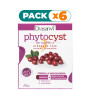 Pack 6x PHYTOCYST 15 COMPRIMIDOS DRASANVI