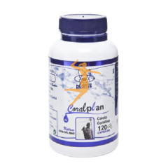 CORALPLAN PLANES