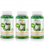 Pack 3x2 Verde de Alcachofa 80 Cápsulas Soria Natural