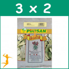 PACK 3x2 BOLDO HOJAS 40Gr. PINISAN
