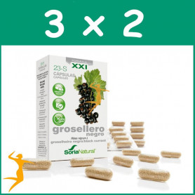 PACK 3x2 GROSELLERO NEGRO 23-S FORMULA XXI SORIA NATURAL