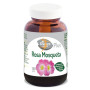 ROSA MOSQUETA 100 PERLAS EL GRANERO