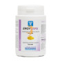 ERGYCARE 60 CÁPSULAS NUTERGIA
