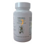 SIMSINA JELLYBELL (ANTIGUO STAMARAND)