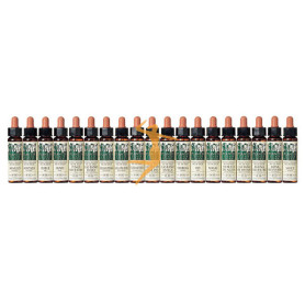 ELIXIR FLORAL 30 CASTAÑO DULCE 10Ml. PLANTIS