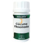 HOLOFIT CURCUMA FITOSOMADA 50 CÁPSULAS EQUISALUD