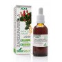 EXTRACTO DE ZARZAPARRILLA XXI 50Ml. SORIA NATURAL