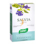 PLANTAS FIT SALVIA 40 CAPSULAS SANTIVERI