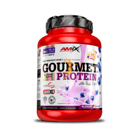 GOURMET PROTEIN 1 KG Arandanos-yogurt AMIX