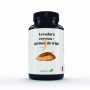 LEVADURA+GERMEN T.600 MG 100 COMP EBERS